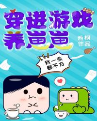 穿进游戏世界
